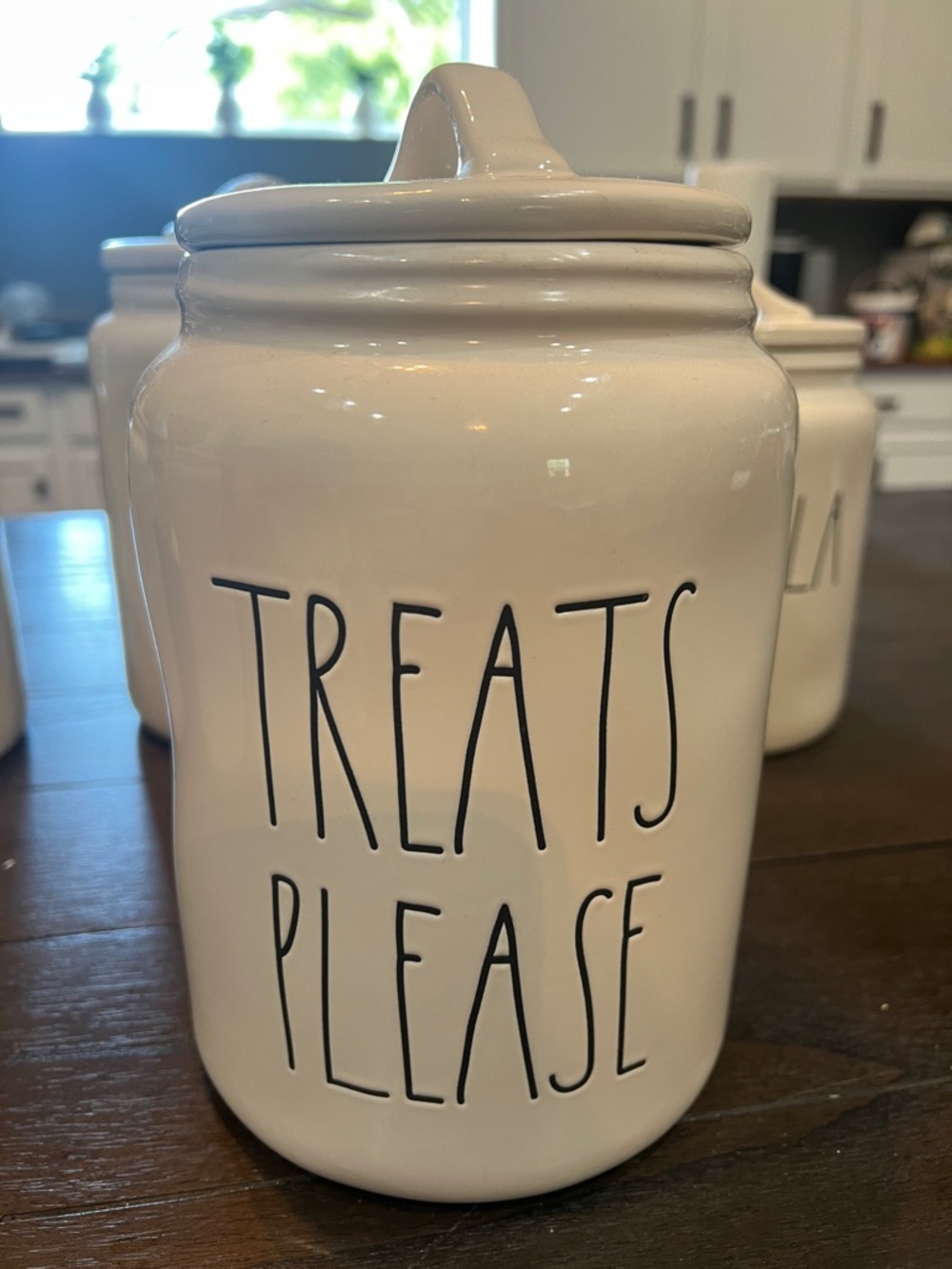Rae Dunn White Ceramic 'TREATS PLEASE' Canister